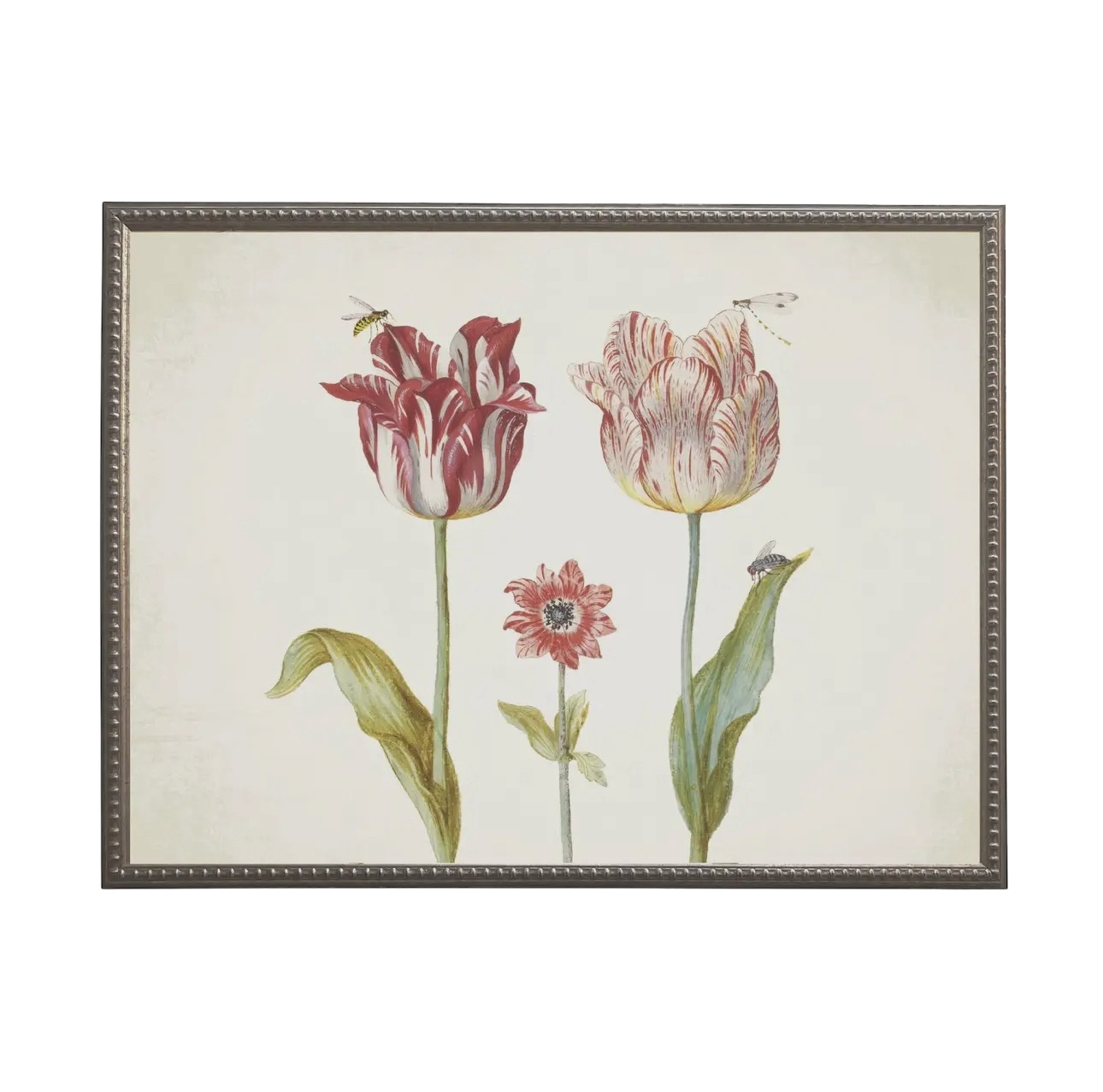Vintage Tulip Prints
