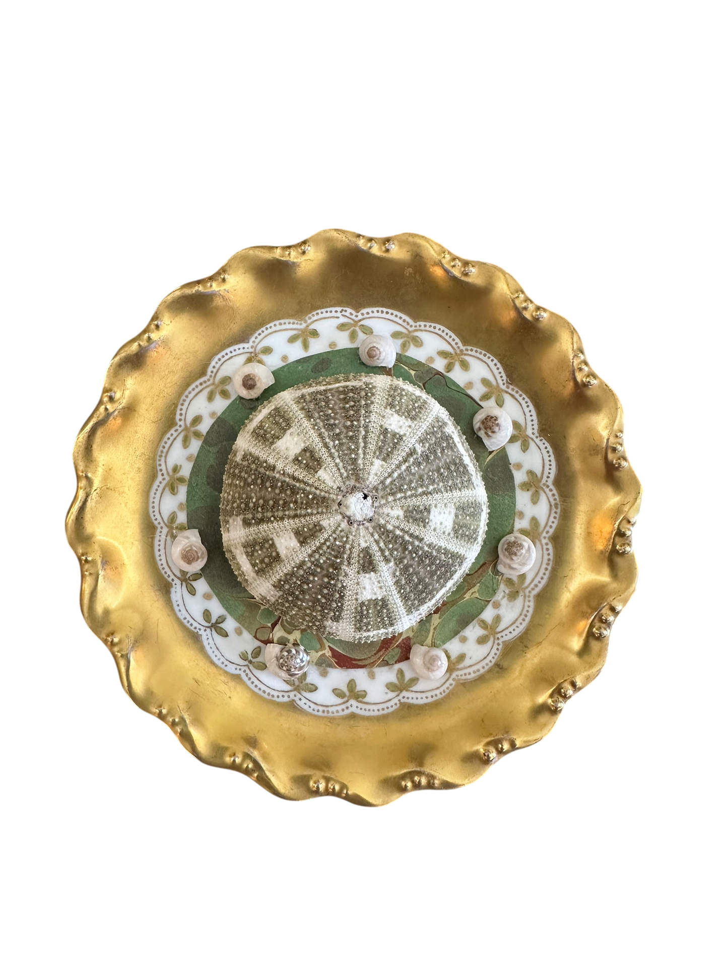 Jenn Leverett Art - Urchin on Marble Paper Limoges