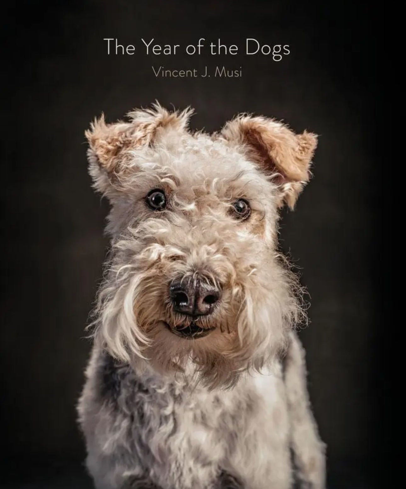 Year of the Dogs