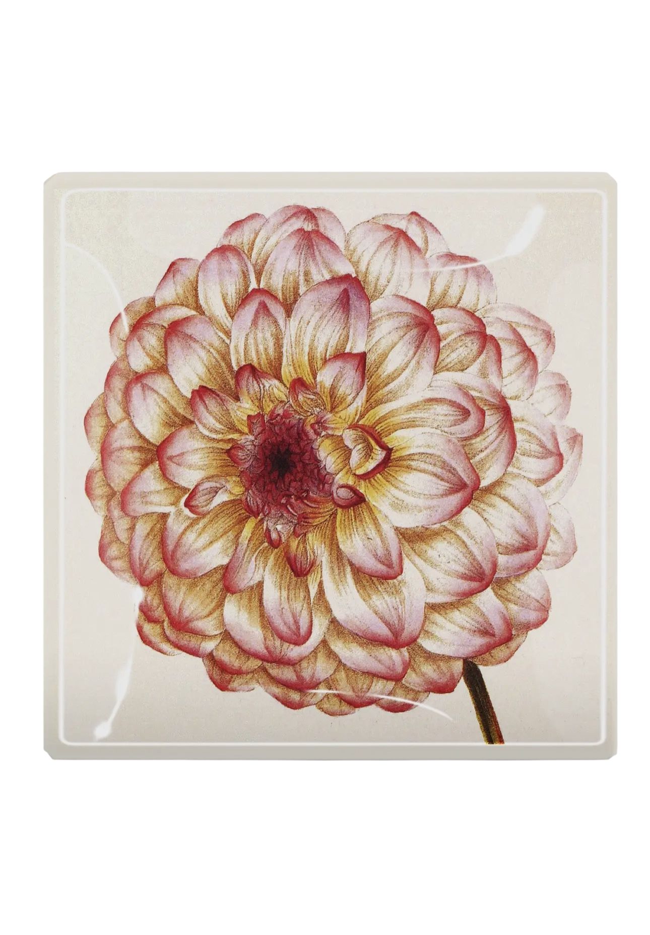 Pink Dahlia Decoupage Tray 6 x 6