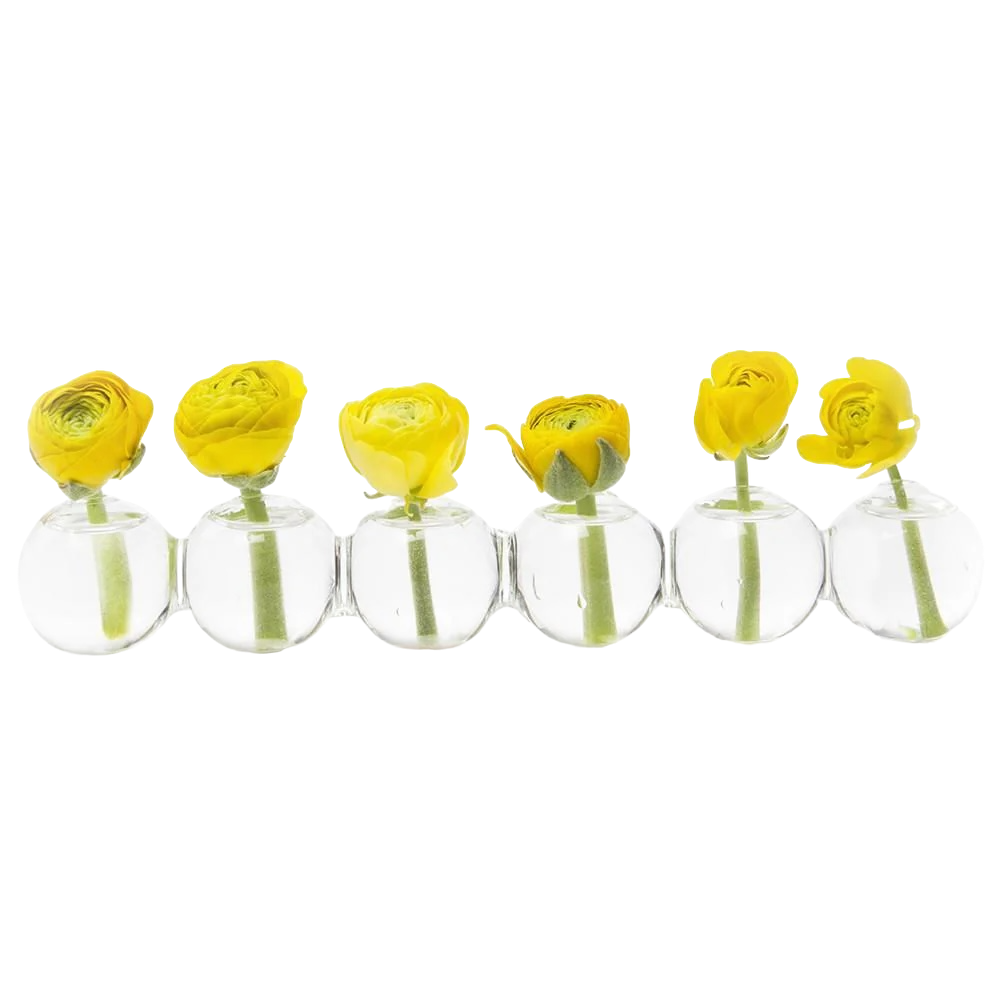 Caterpillar Bud Vase - Small