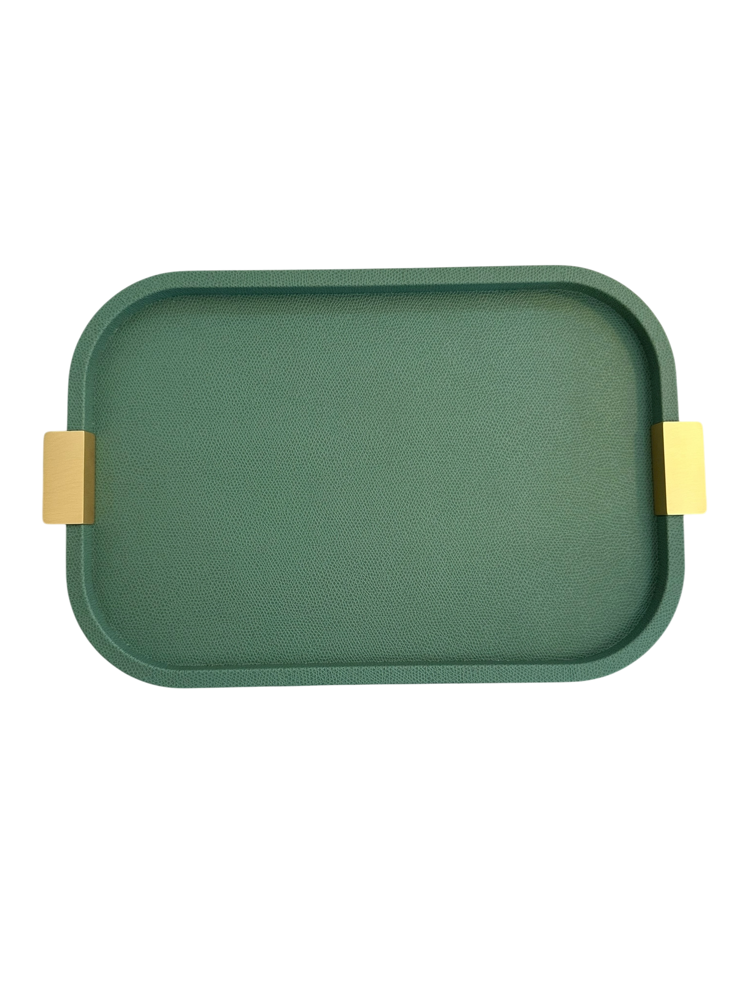 Small Puccini Rectangular Tray / Brass Handles