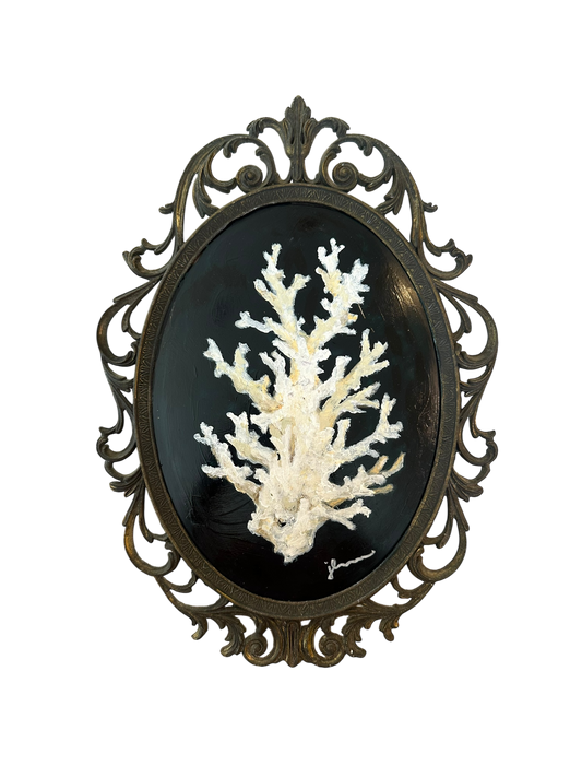 Jenn Leverett Art - Coral in Vintage Frame I