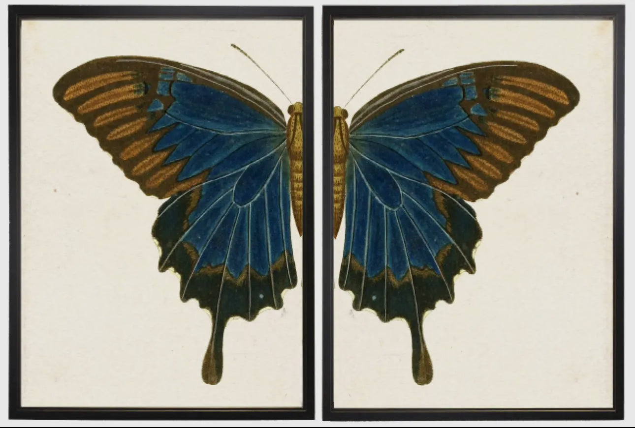 Butterfly Diptychs 60” x 36”