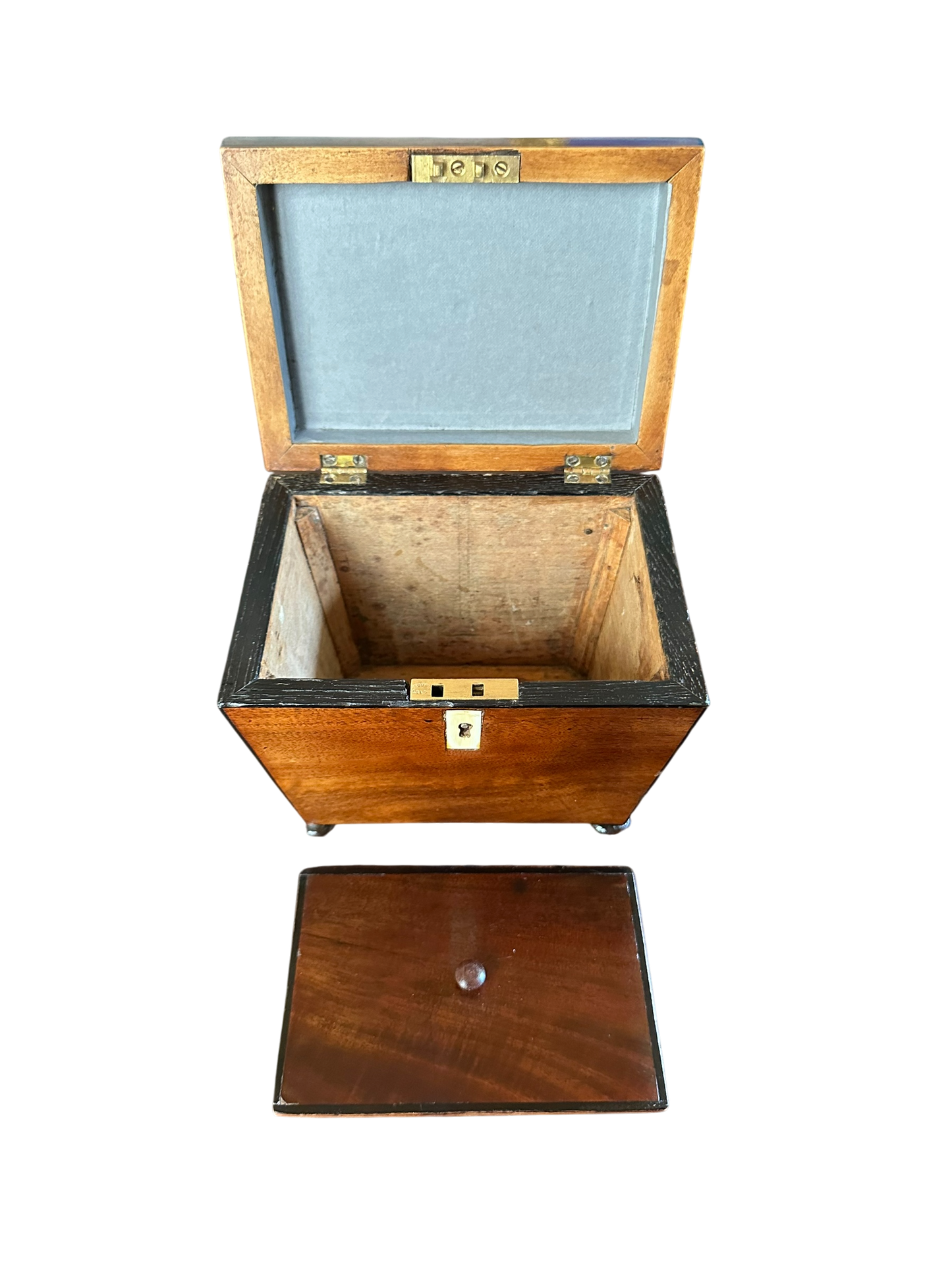 Sarcophagus Form Tea Caddy w/ Conch Shell Inlay c. 1810