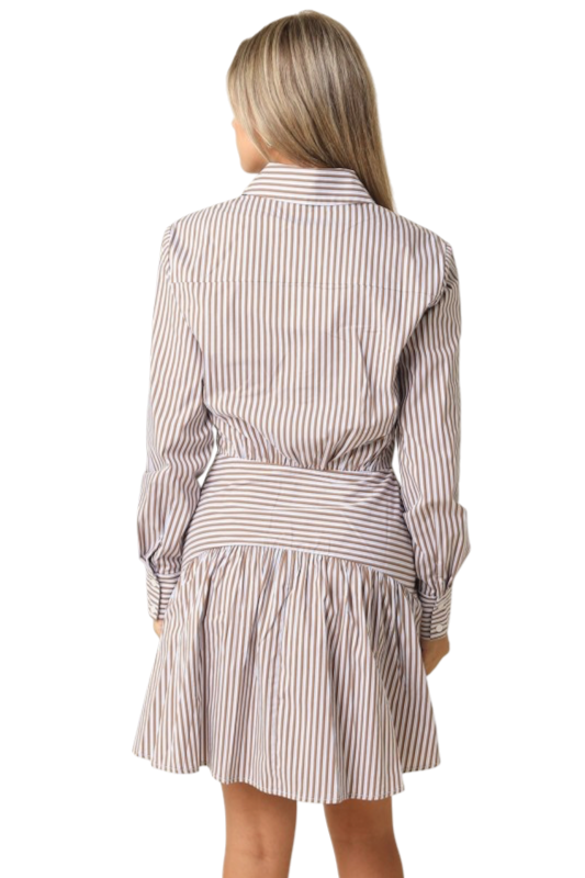 Striped Drop Waist Shirt Dress