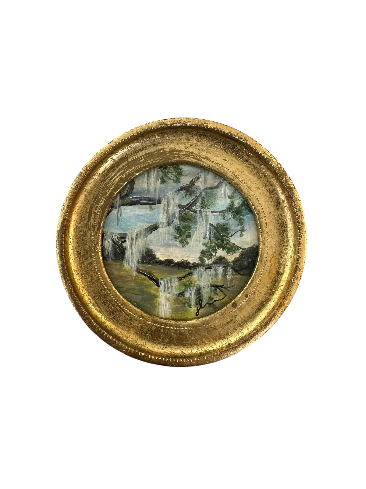 Small Round Live Oak - Jenn Leverett Art