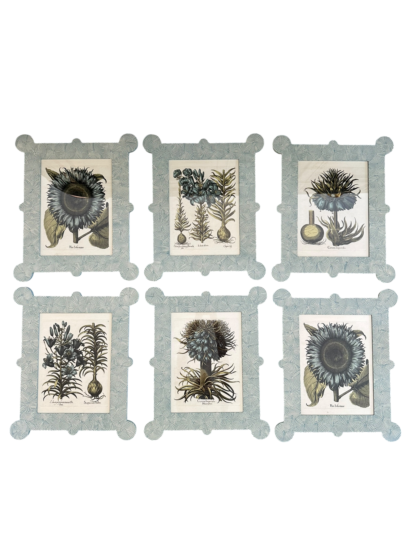 Blue Floral Botanical Print in Hand-Painted Frame