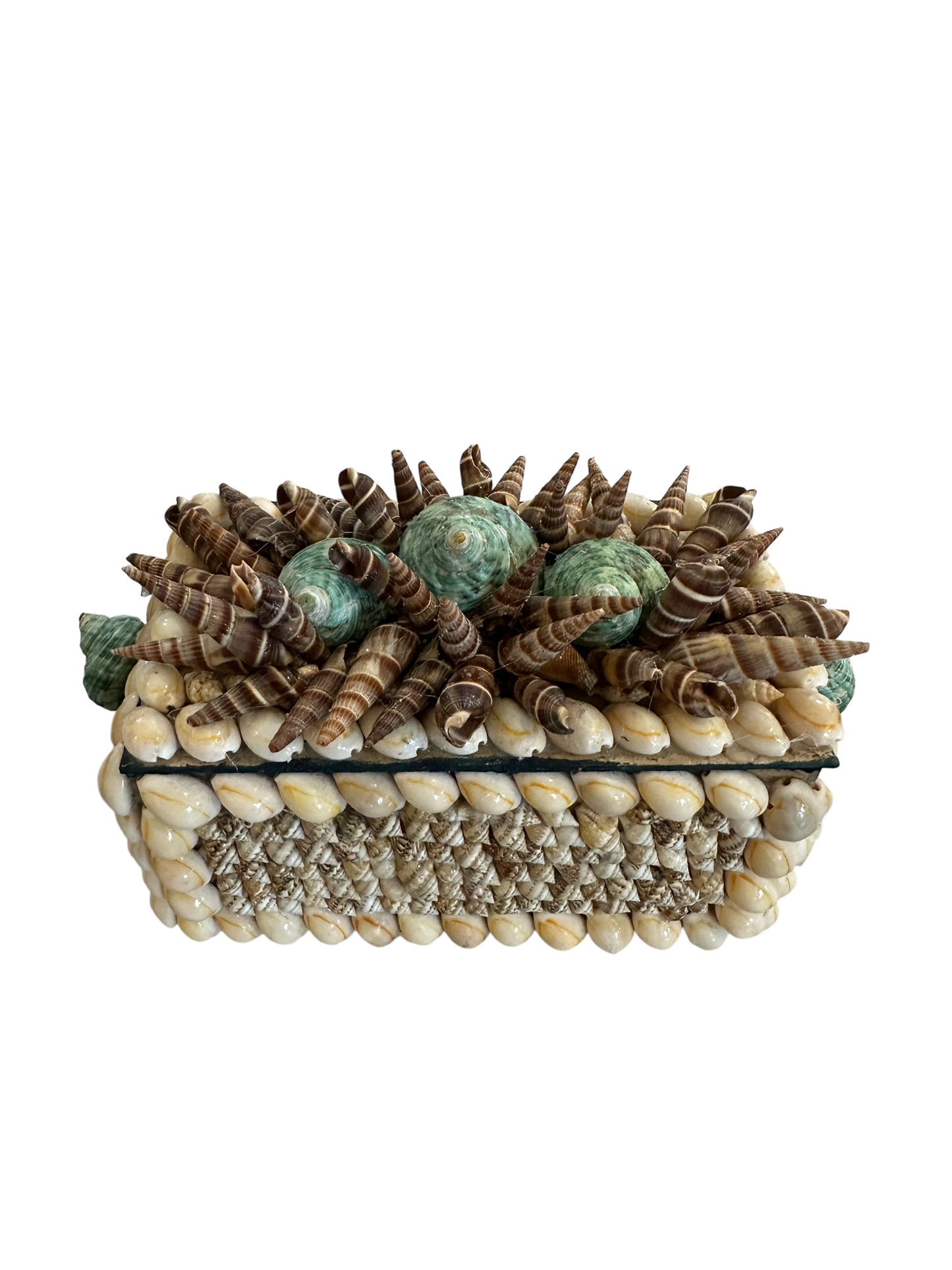 Jenn Leverett Art - Shell Encrusted Box II