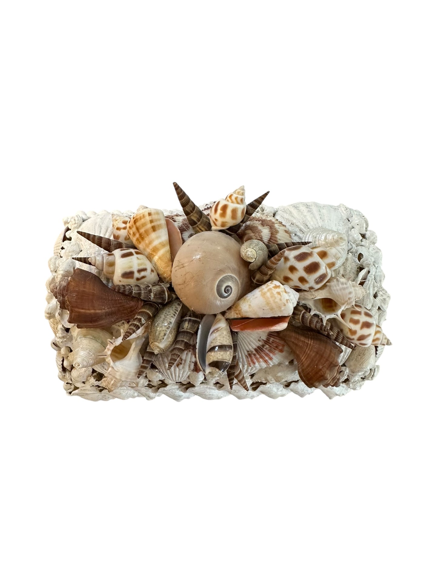 Jenn Leverett Art - Shell Encrusted Box I