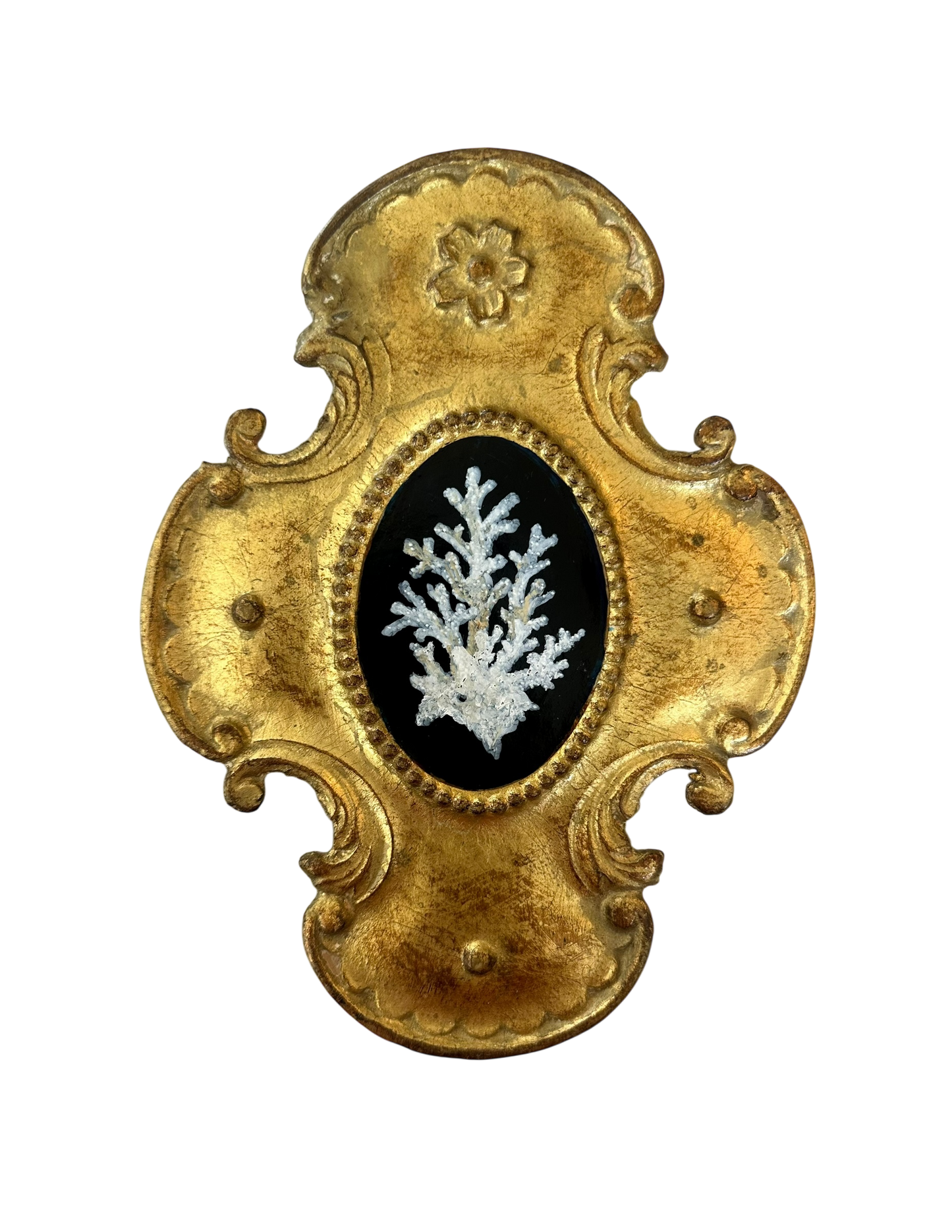 Jenn Leverett Art - Coral Florentine I