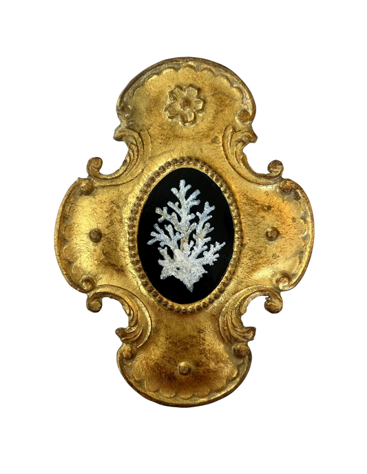 Jenn Leverett Art - Coral Florentine I