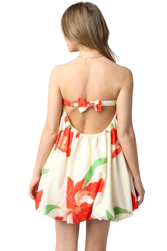 Gabbie Floral Bubble Dress
