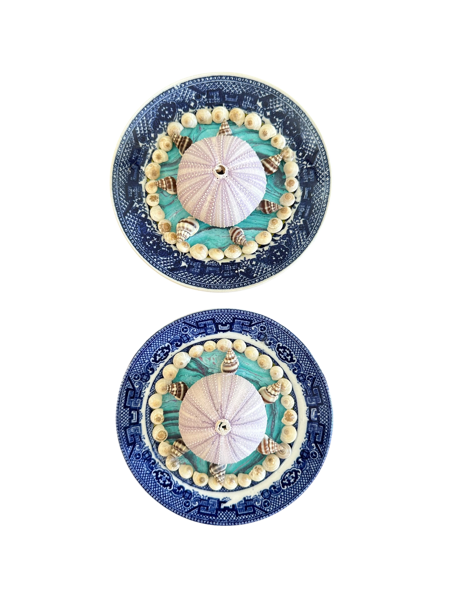 Jenn Leverett Art - Pair of Urchins on Blue Willow