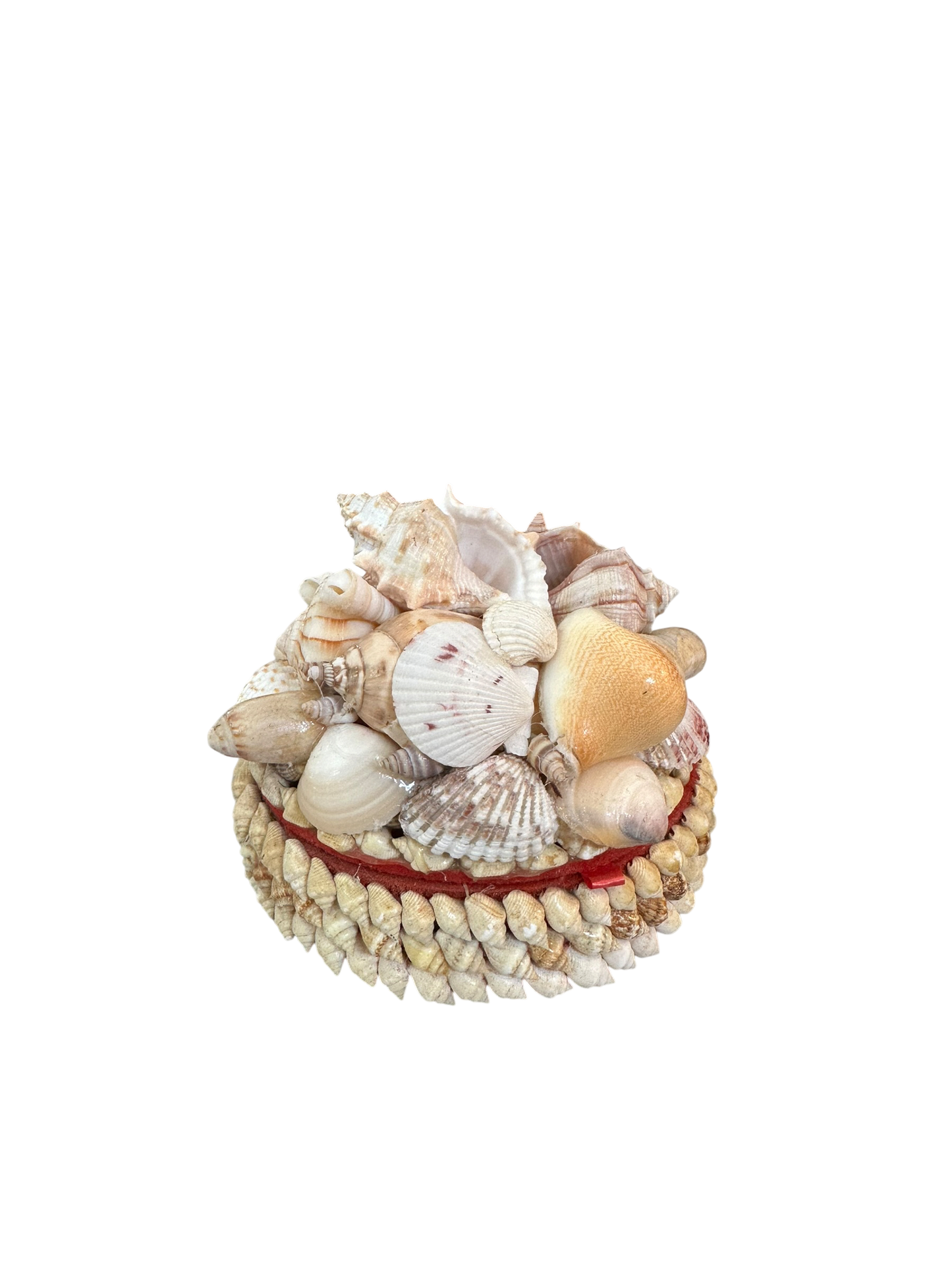 Jenn Leverett Art - Round Shell Encrusted Box