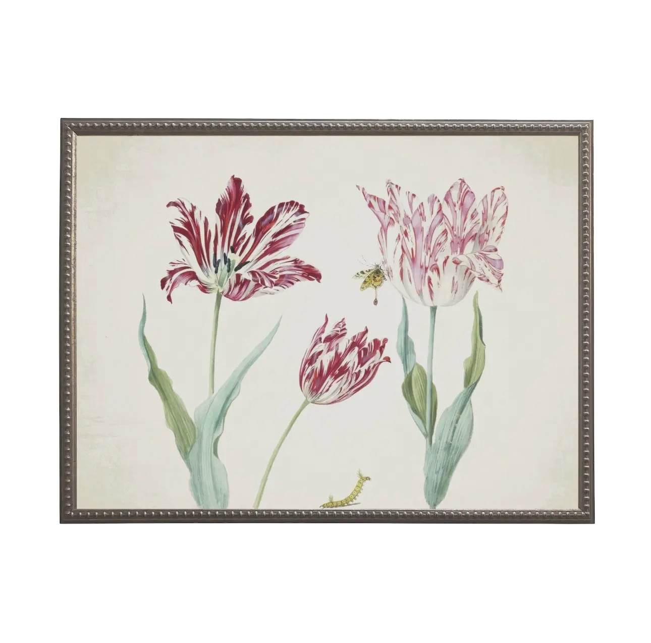 Vintage Tulip Prints