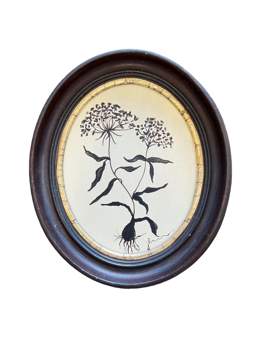 Jenn Leverett Art - Queen Anne’s Lace