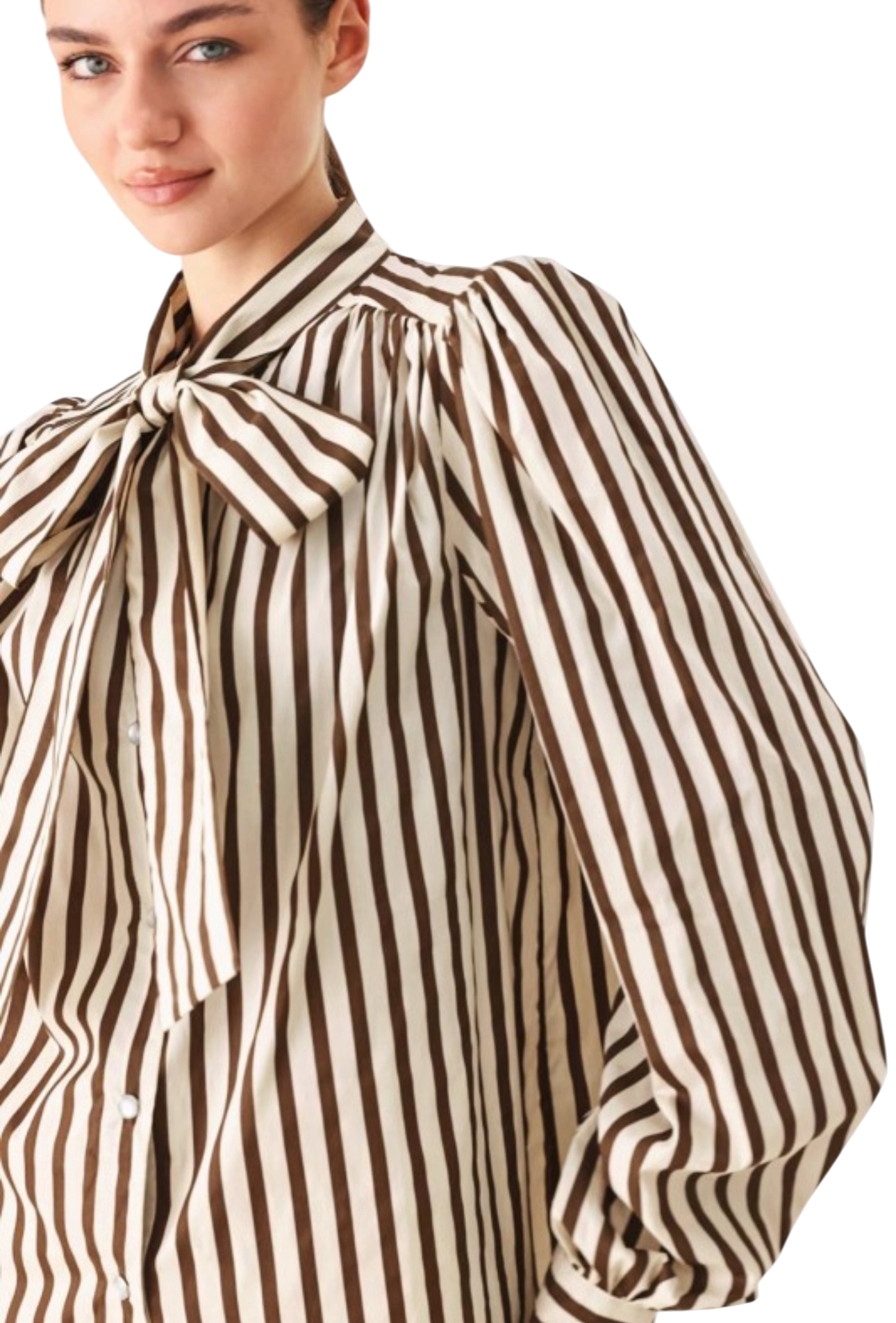 Brown Stripe Blouse