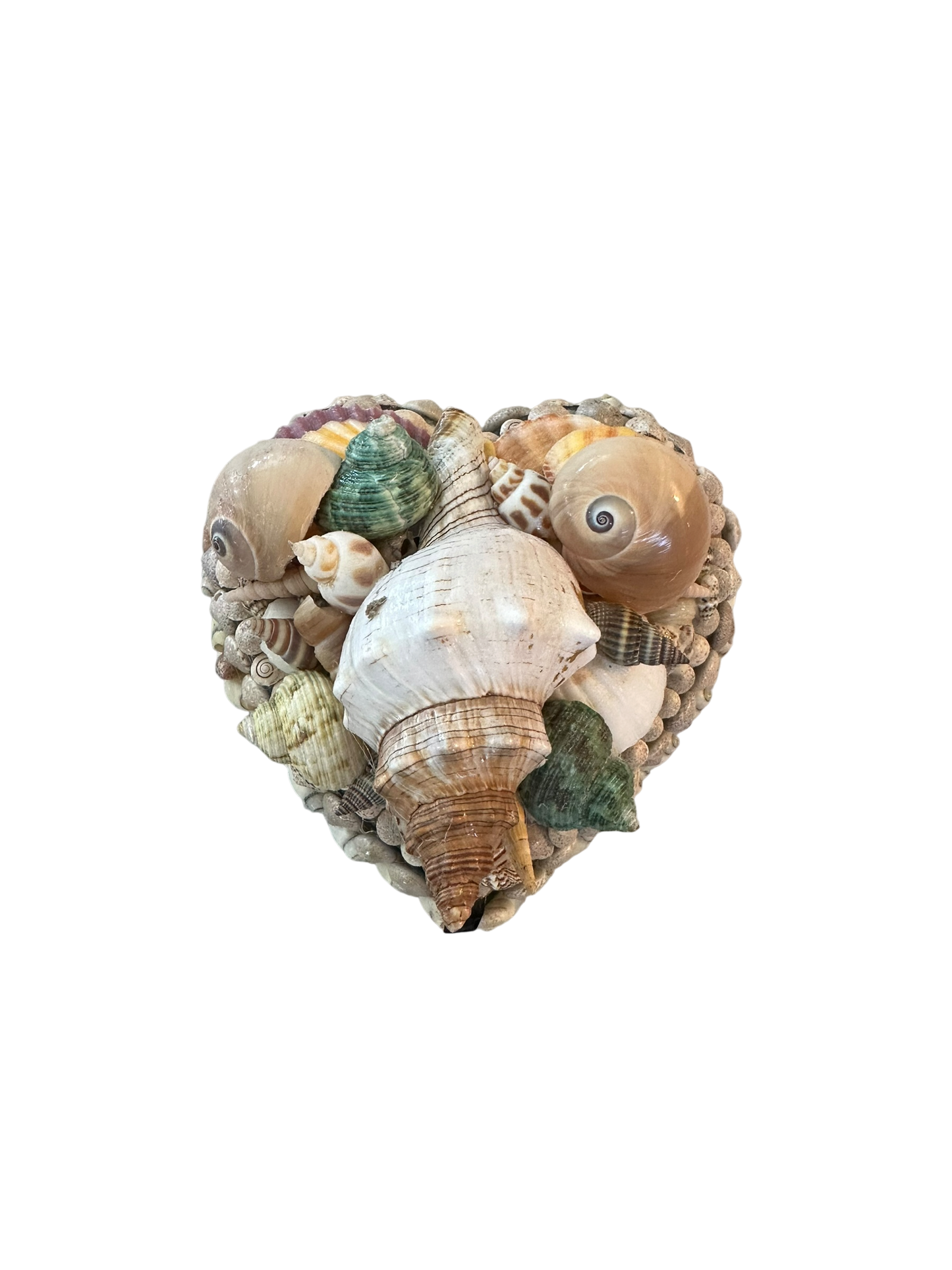 Jenn Leverett Art - Heart Shell Encrusted Box