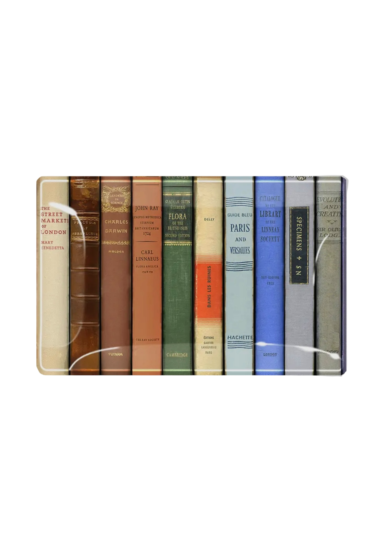 NY Public Library Decoupage Glass Tray
