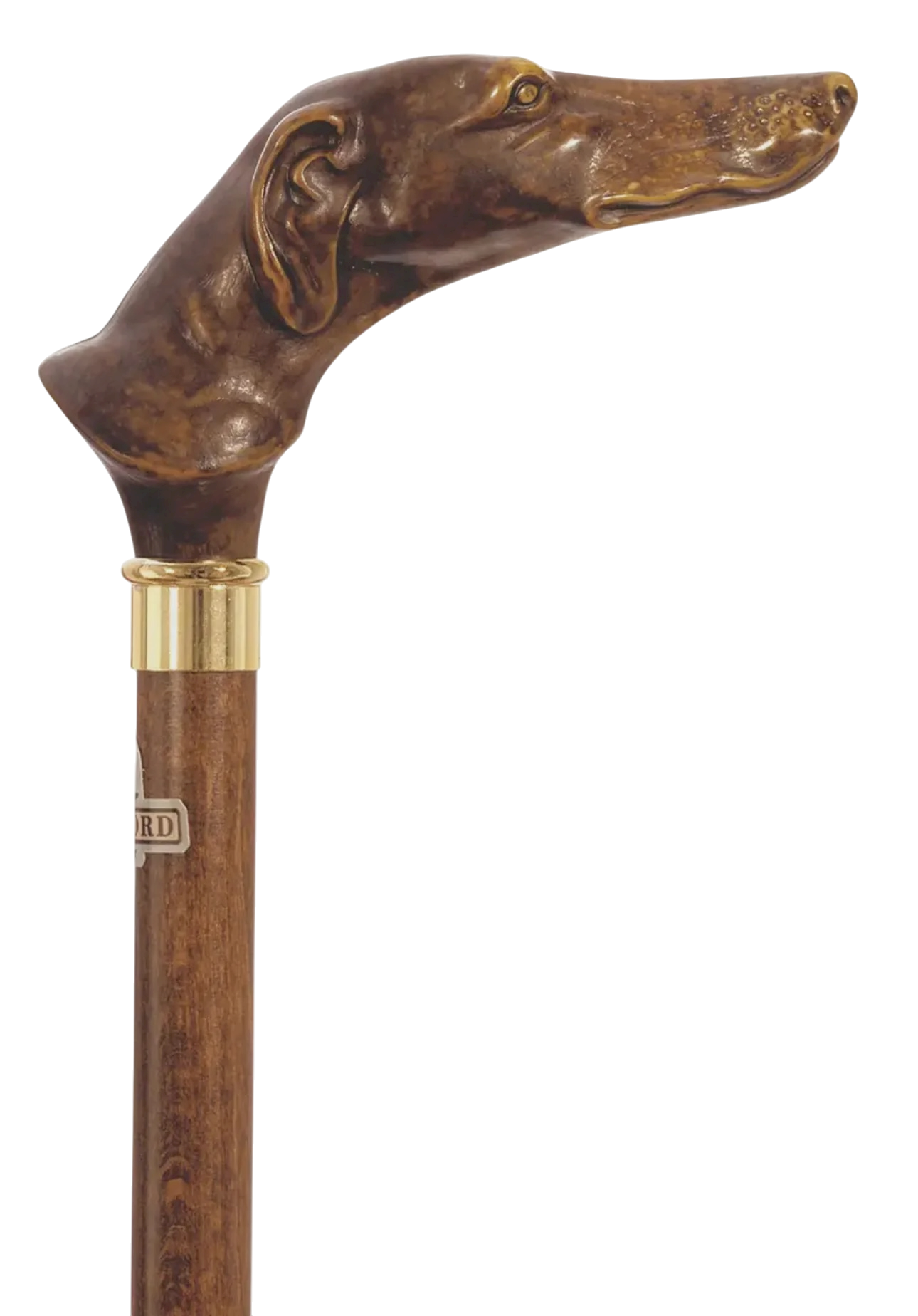 Greyhound Cane