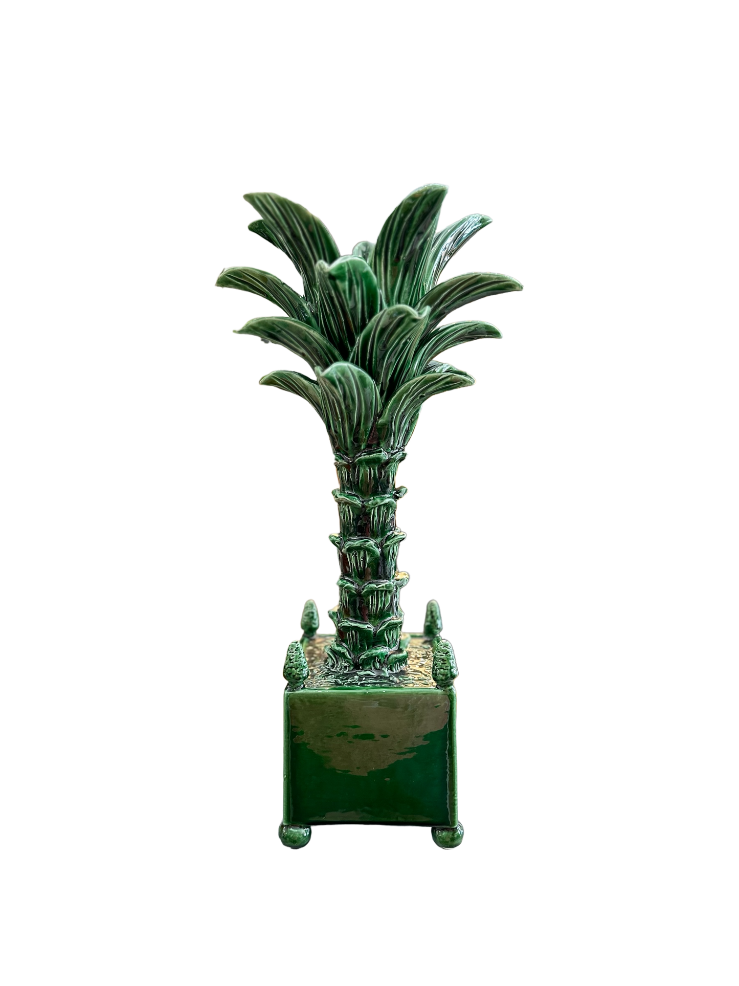 Jean Roger Palmier en Pot