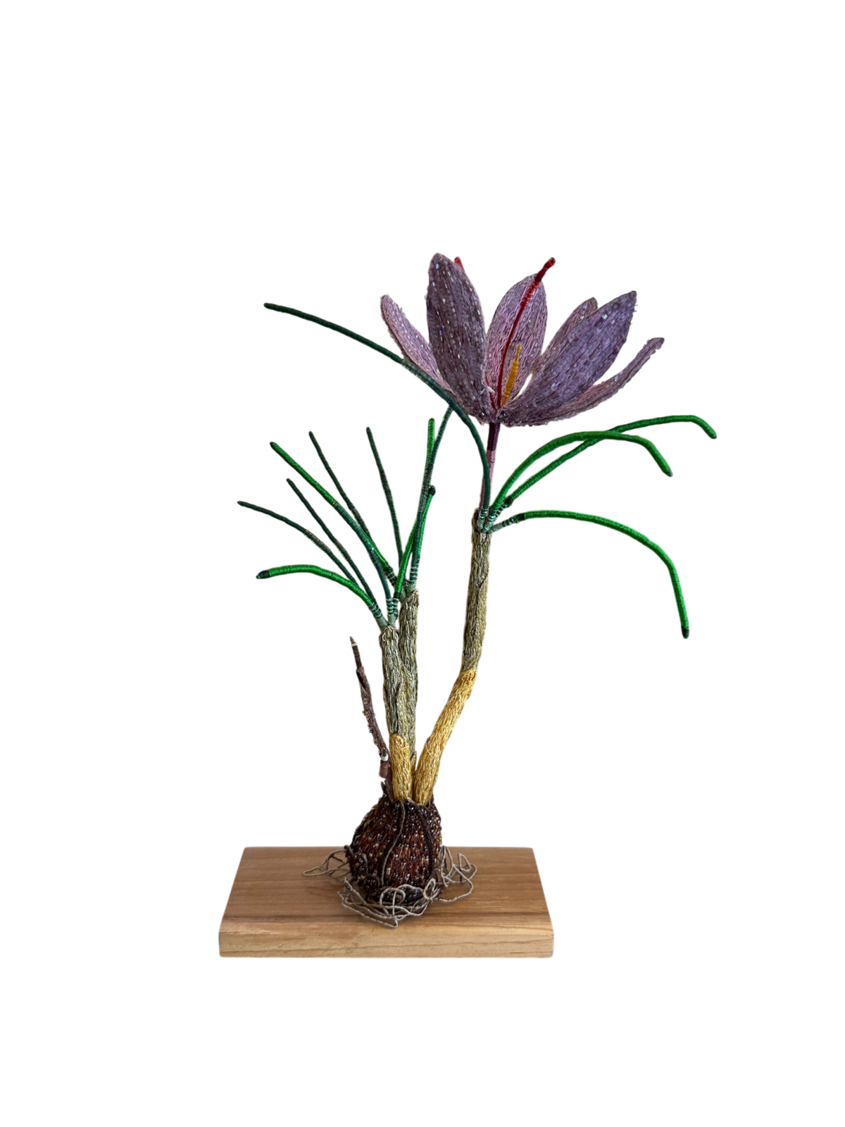 Saffron Crocus Embellished Object