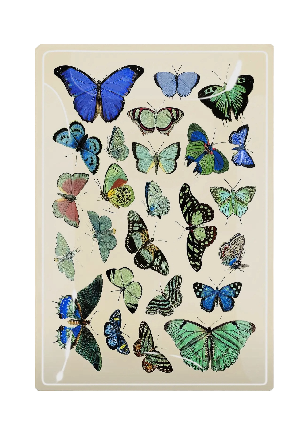 Green/ Blue Butterflies Decoupage Tray