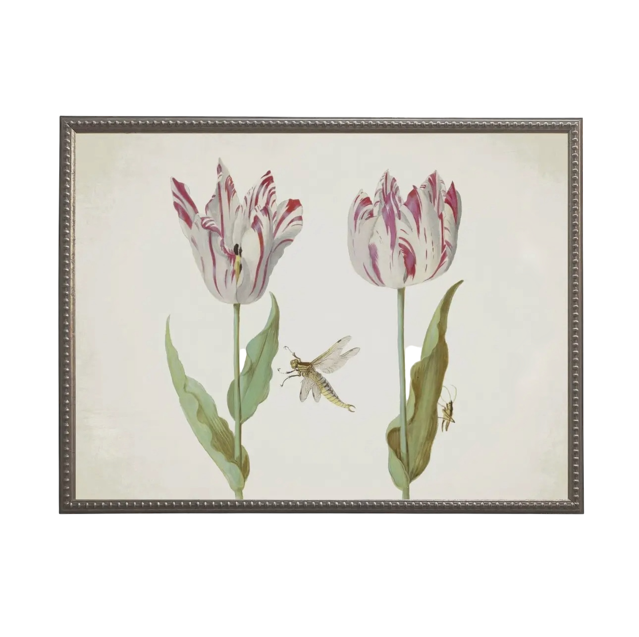 Vintage Tulip Prints