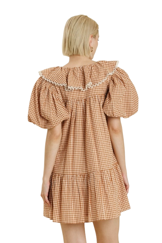 Gingham Mini Dress w/ Tie