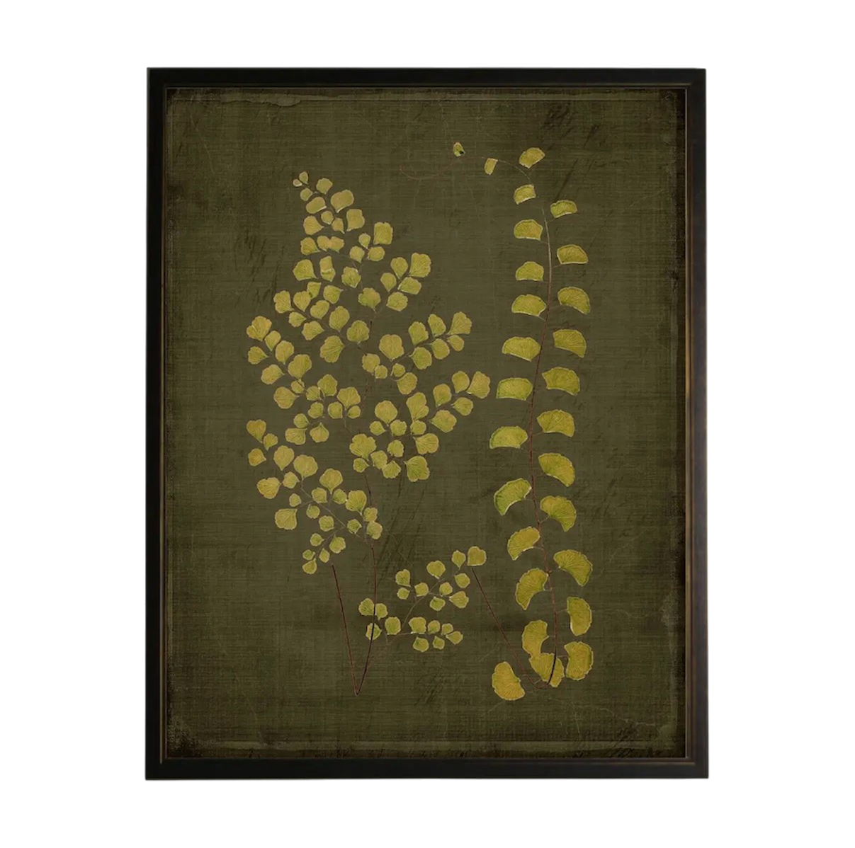 Golden Fern Prints