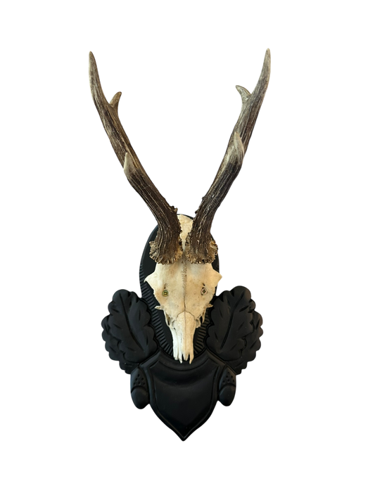 Black Forest Inspired Antler Mount - Single
