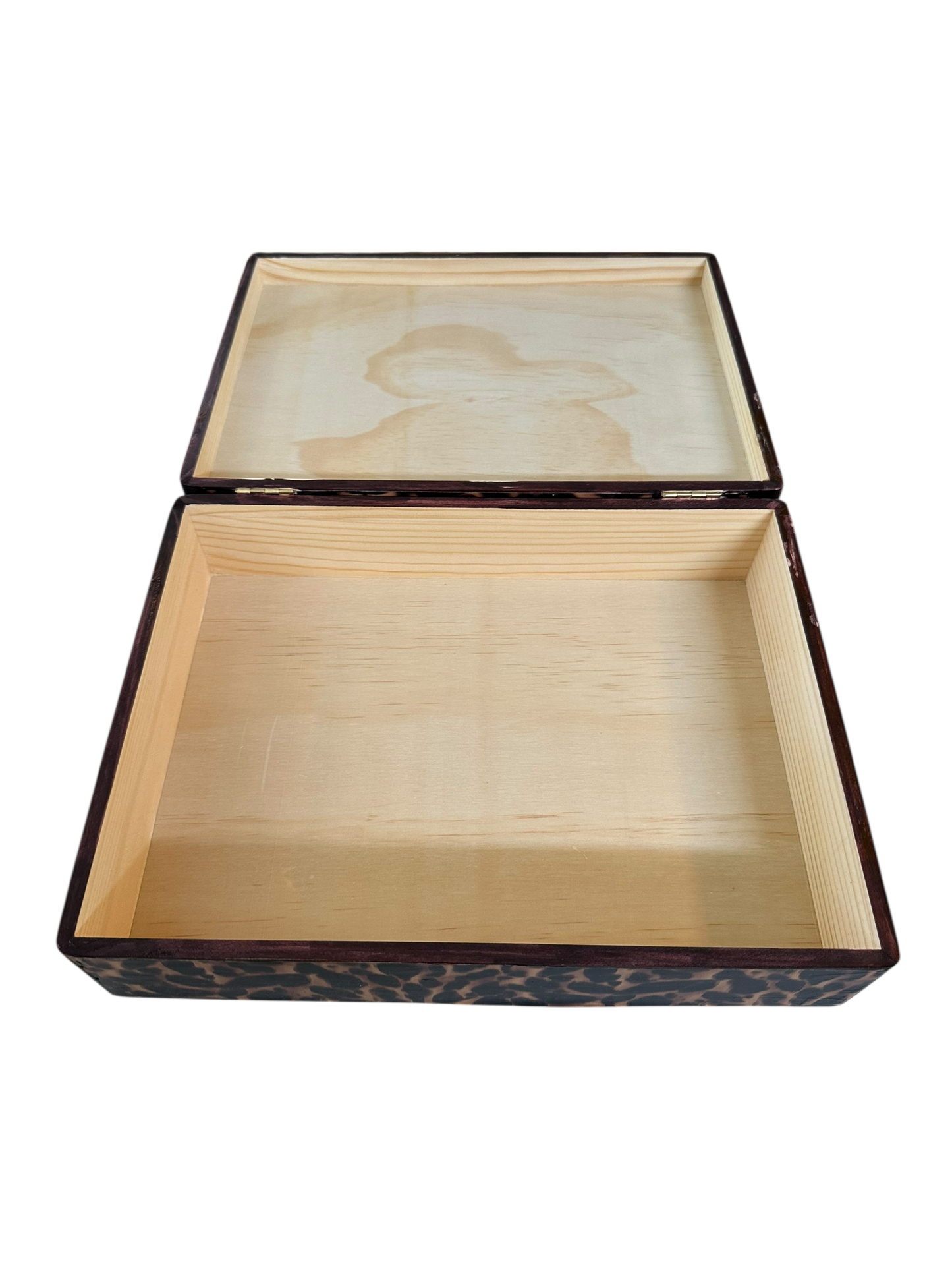 Large Rectangular Tortoise Box