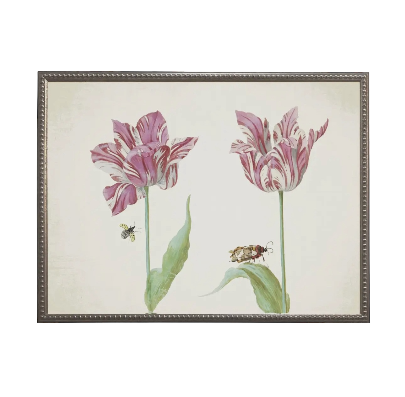 Vintage Tulip Prints