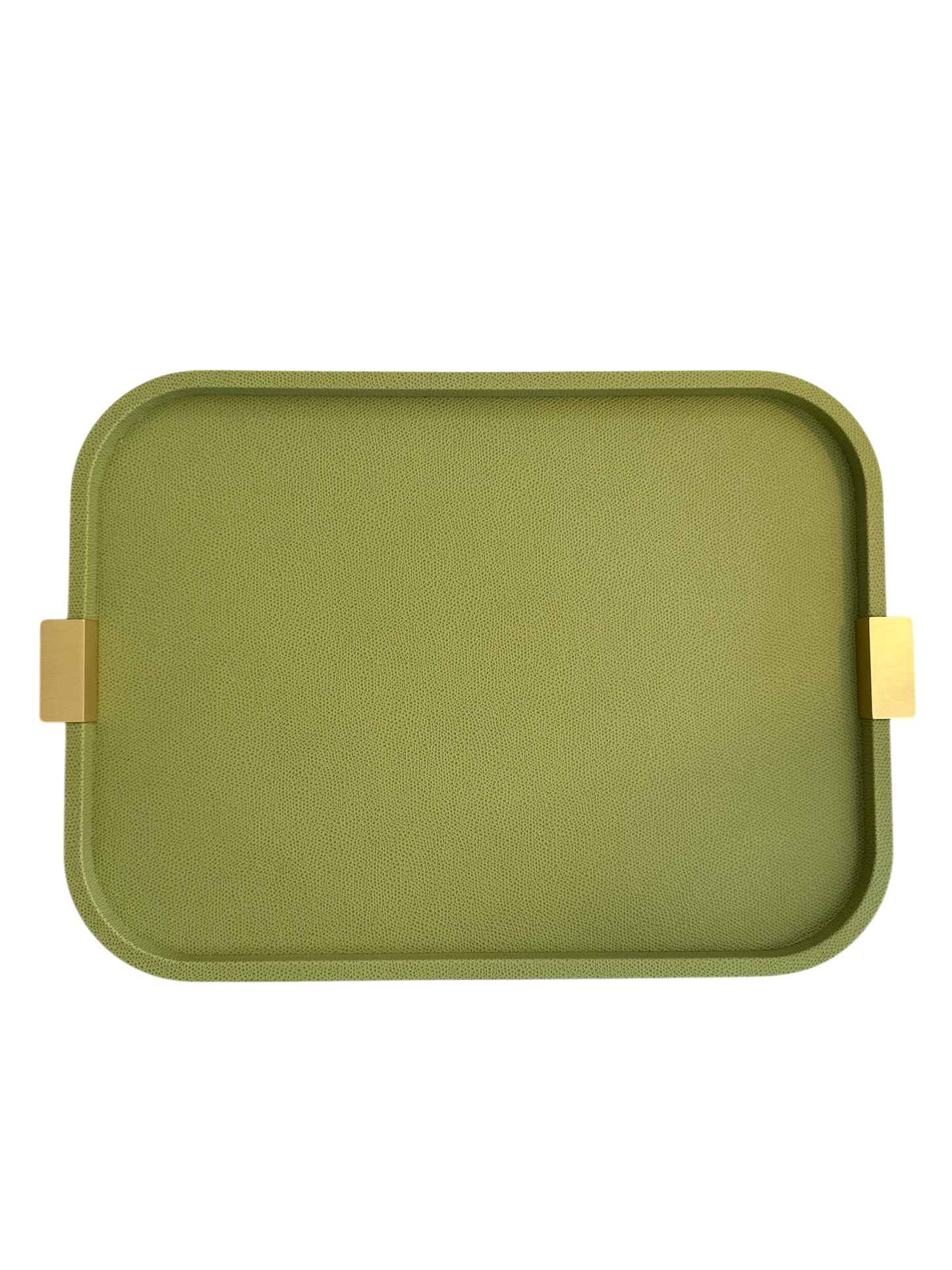 Medium Puccini Rectangular Tray / Brass Handles
