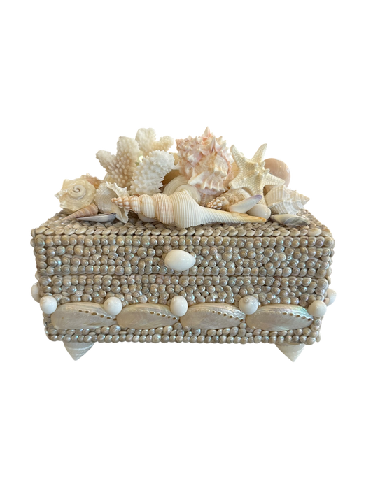 Jenn Leverett Art - Footed Shell Encrusted Box