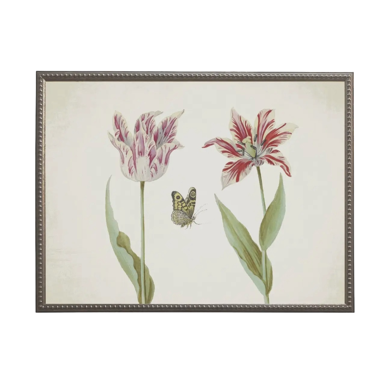 Vintage Tulip Prints