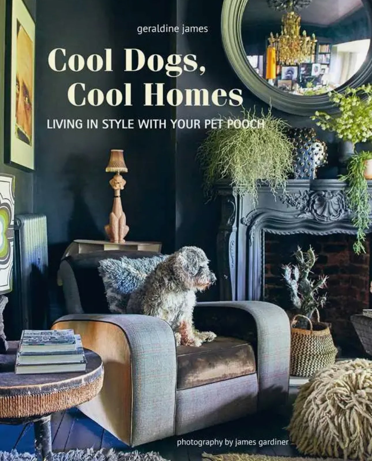 Cool Dogs, Cool Homes By
Geraldine James