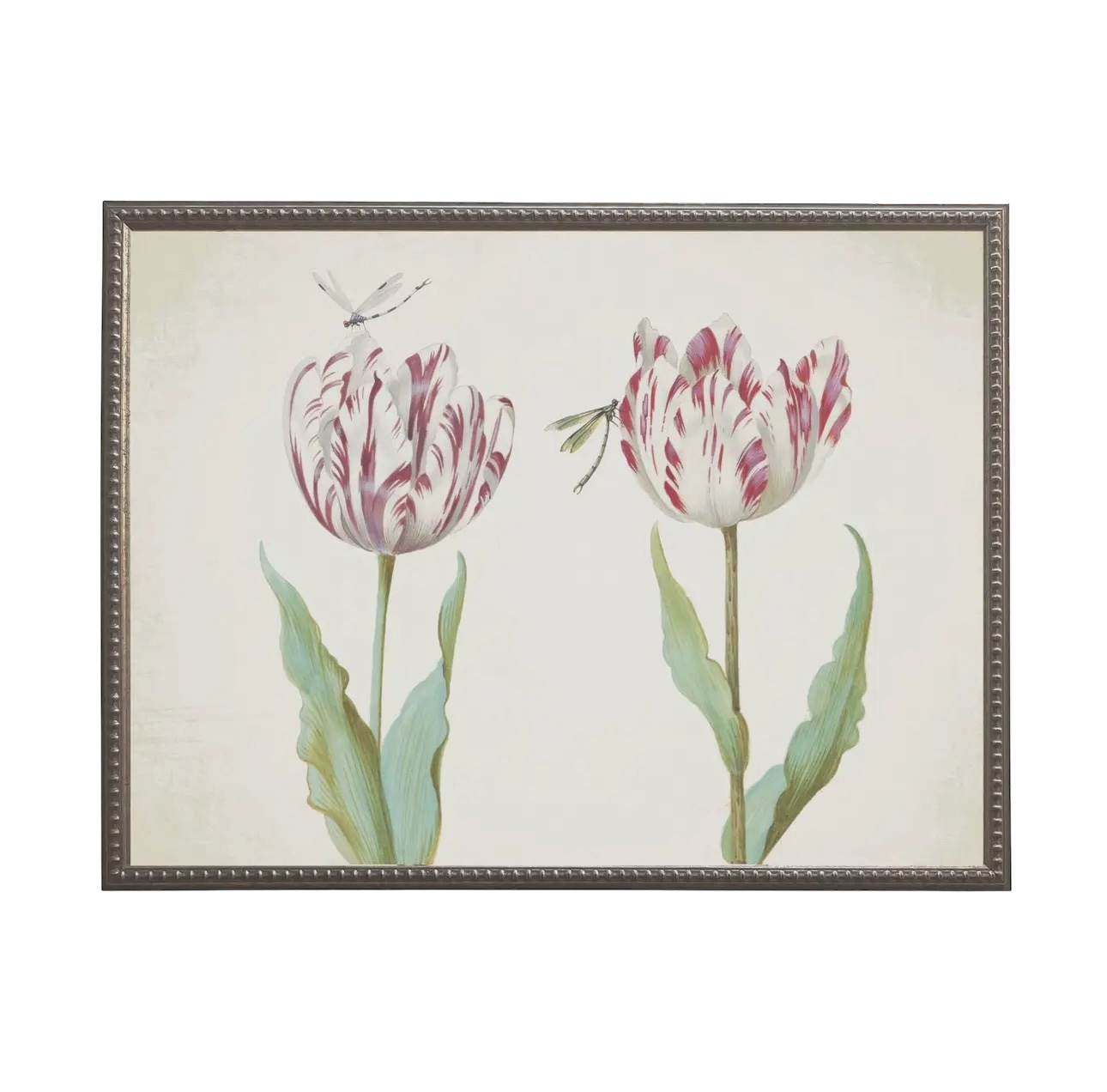 Vintage Tulip Prints