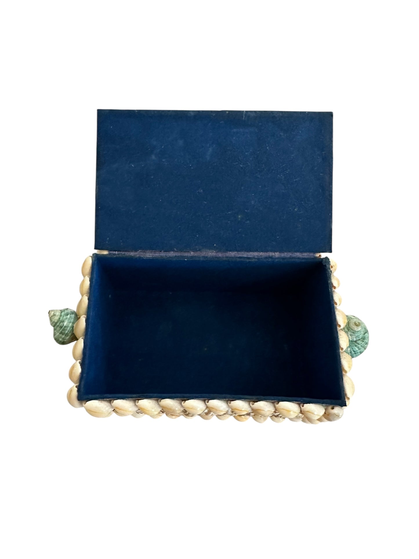 Jenn Leverett Art - Shell Encrusted Box II