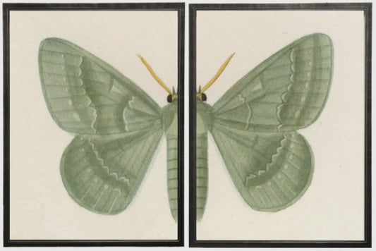 Butterfly Diptychs 60” x 36”