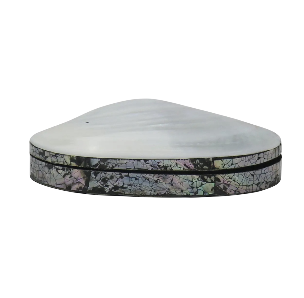 Shell Trinket Box