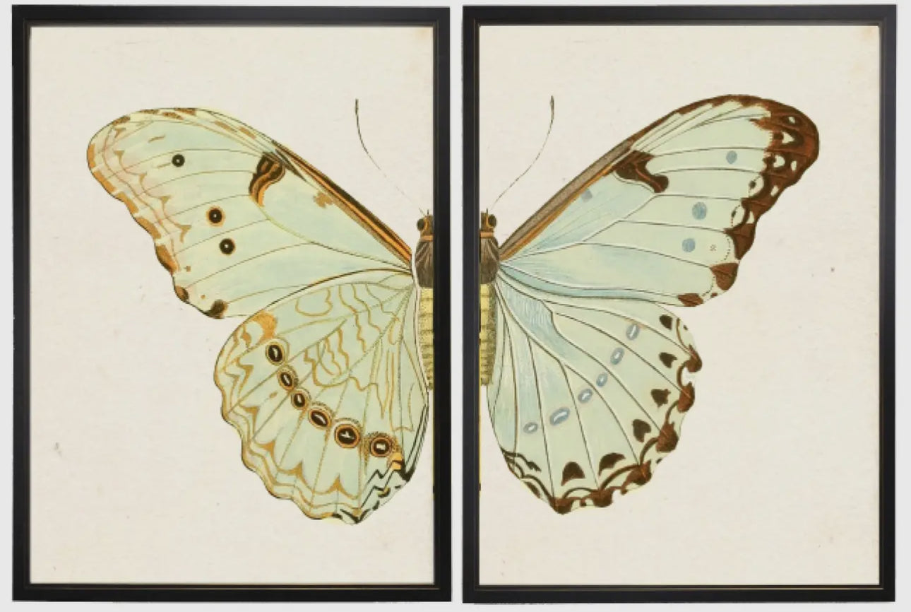 Butterfly Diptychs 60” x 36”