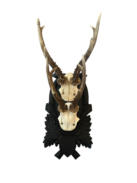 Black Forest Inspired Antler Mount - Double