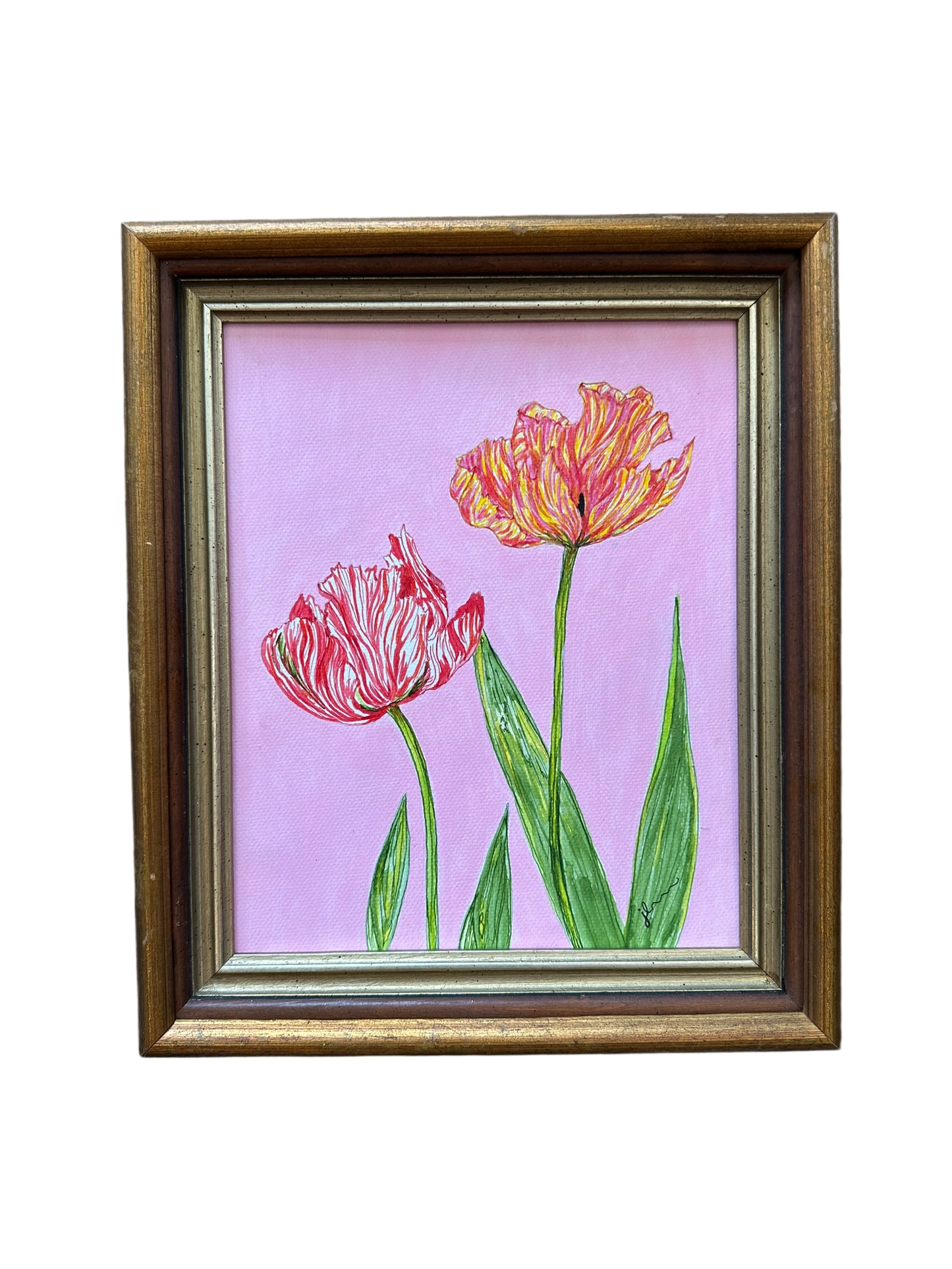 Jenn Leverett Art - Parrot Tulips
