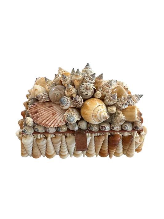 Jenn Leverett Art - Shell Encrusted Box IV