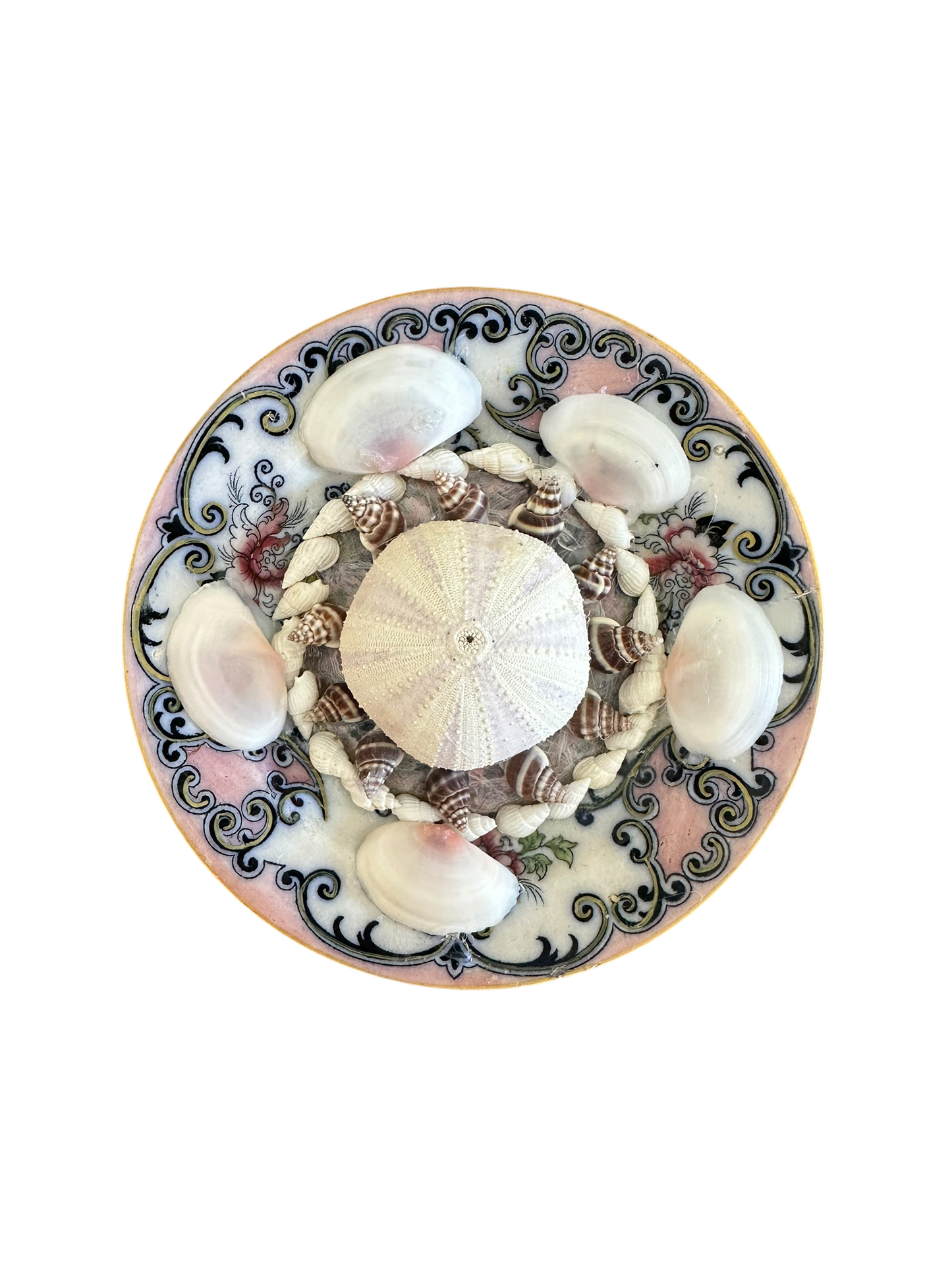 Jenn Leverett Art - Rose Shell Encrusted Plate