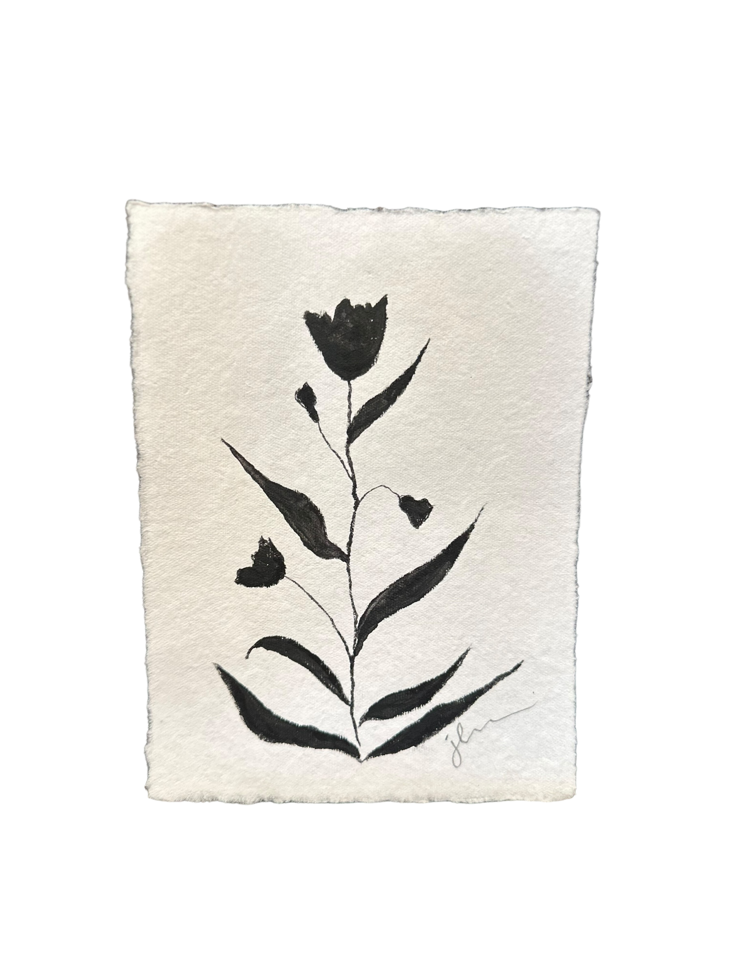 Jenn Leverett Art - B & W Unframed Botanicals 5 x 7