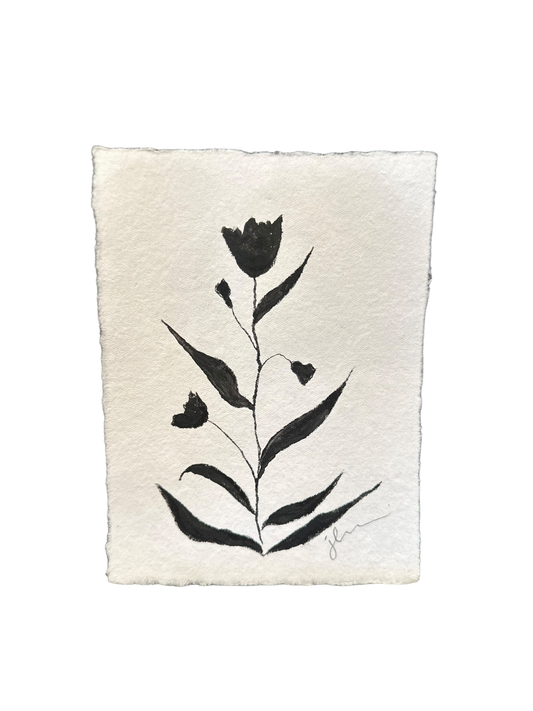 Jenn Leverett Art - B & W Unframed Botanicals 5 x 7