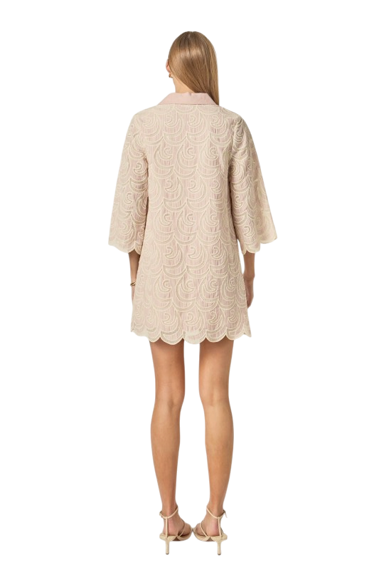 Embroidered Shirt Mini Dress